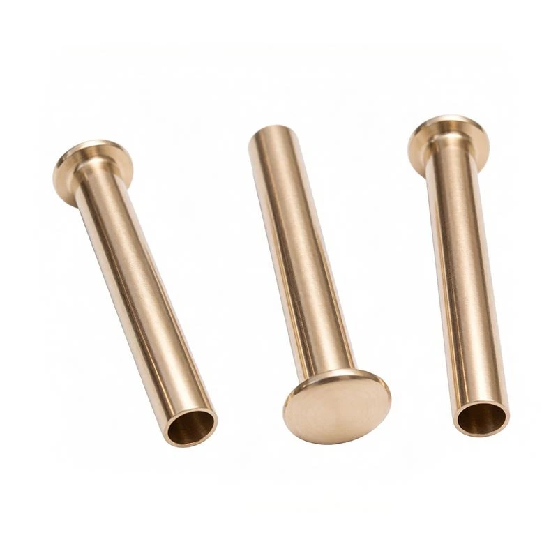Hollow Tubular Rivets factory